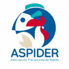 ASOCIACION PISCIAVICOLA DE ROBLES ASPIDER